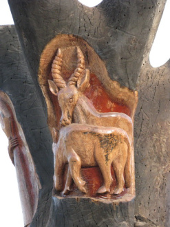 03 Faune